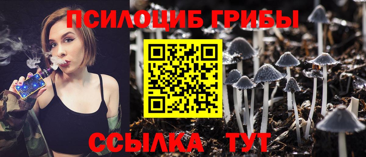 где можно купить   Псилоцибиновые грибы GOLDEN TEACHER  Вход с VPN  Южноуральск 